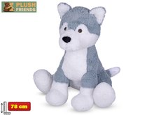Plush Friends pes husky plyov 78cm sedc