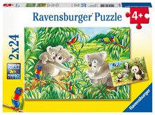 Ravensburger Koaly a pandy 2 x 24 dlk