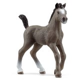 Schleich 13957 Hb plemene Selle Franais